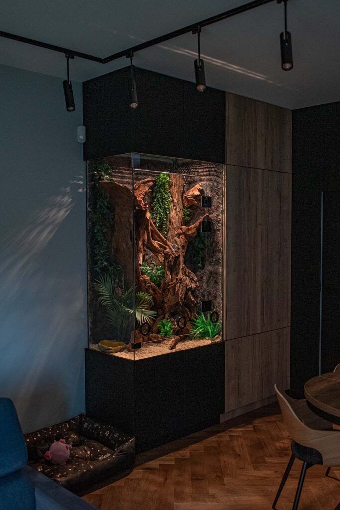 Terrarium dla węża dużym habitatem mieszkalny dla Twojego przyjaciela i ulubieńca.