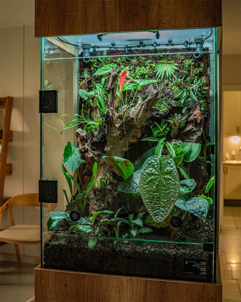 Personalizowane projektowanie terrariów roślinnych typu wiwarium, paludarium, orchidarium.